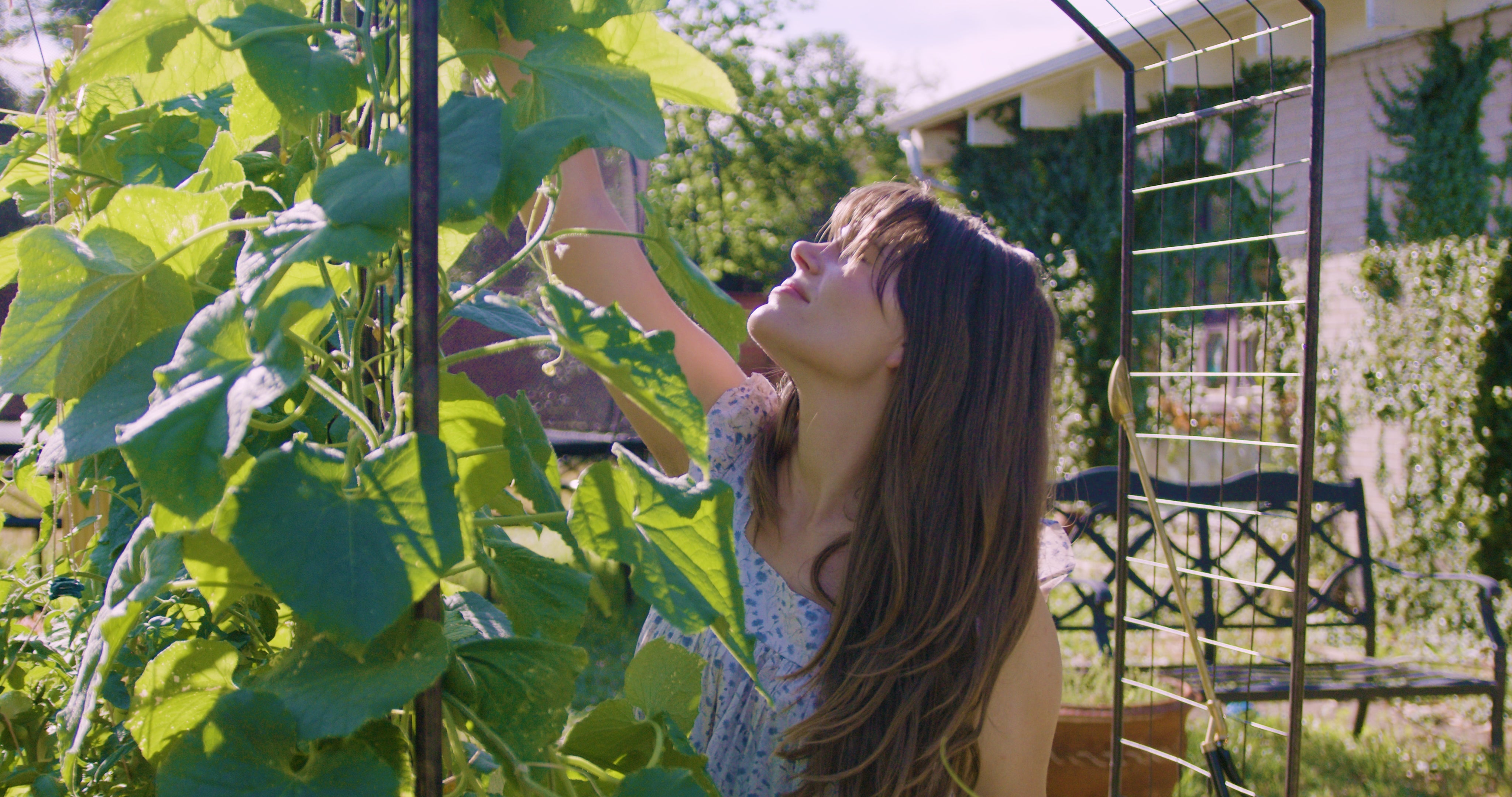 From the Founder: How We Built a Regenerative Garden at Home