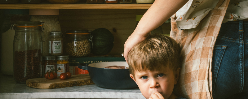 A Parent’s Guide to Kid-Friendly Nutrition: Protein, Antioxidants, and Balanced Meal