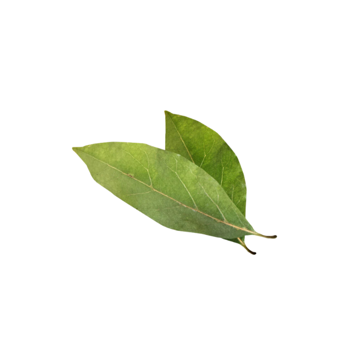 Bay_Leaf