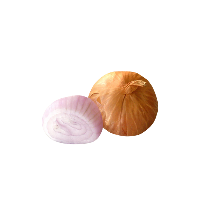 Shallot